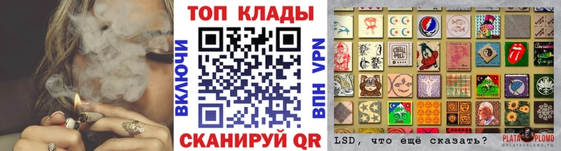Как найти наркотики Бутурлиновка Бошки Шишки Псилоцибиновые грибы ГАШИШ Cocaine KRAKEN онион APVP