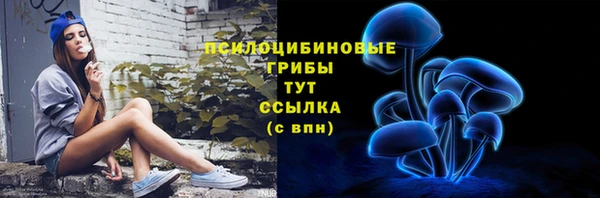 ГАЛЛЮЦИНОГЕННЫЕ ГРИБЫ Баксан