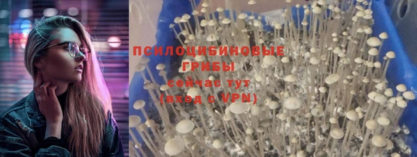 спиды Балабаново