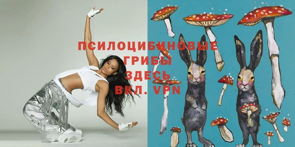 ECSTASY Балахна
