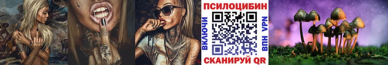 hydra   Бутурлиновка  Псилоцибиновые грибы MAGIC MUSHROOMS 
